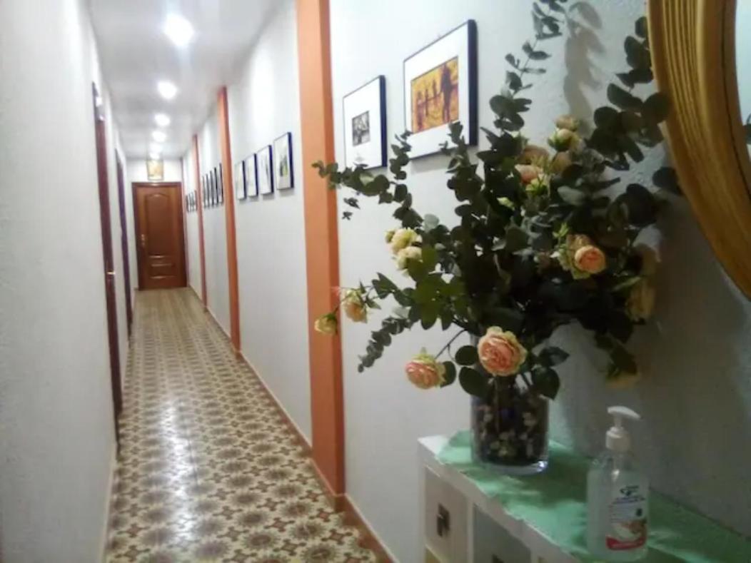 Las Golondrinas Zaragoza Habitacion Individual Exterior photo